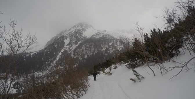 Live today, try tomorrow - We decided to quit hike here as it was getting too dangerous