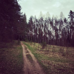 Path was steep in forest at some places